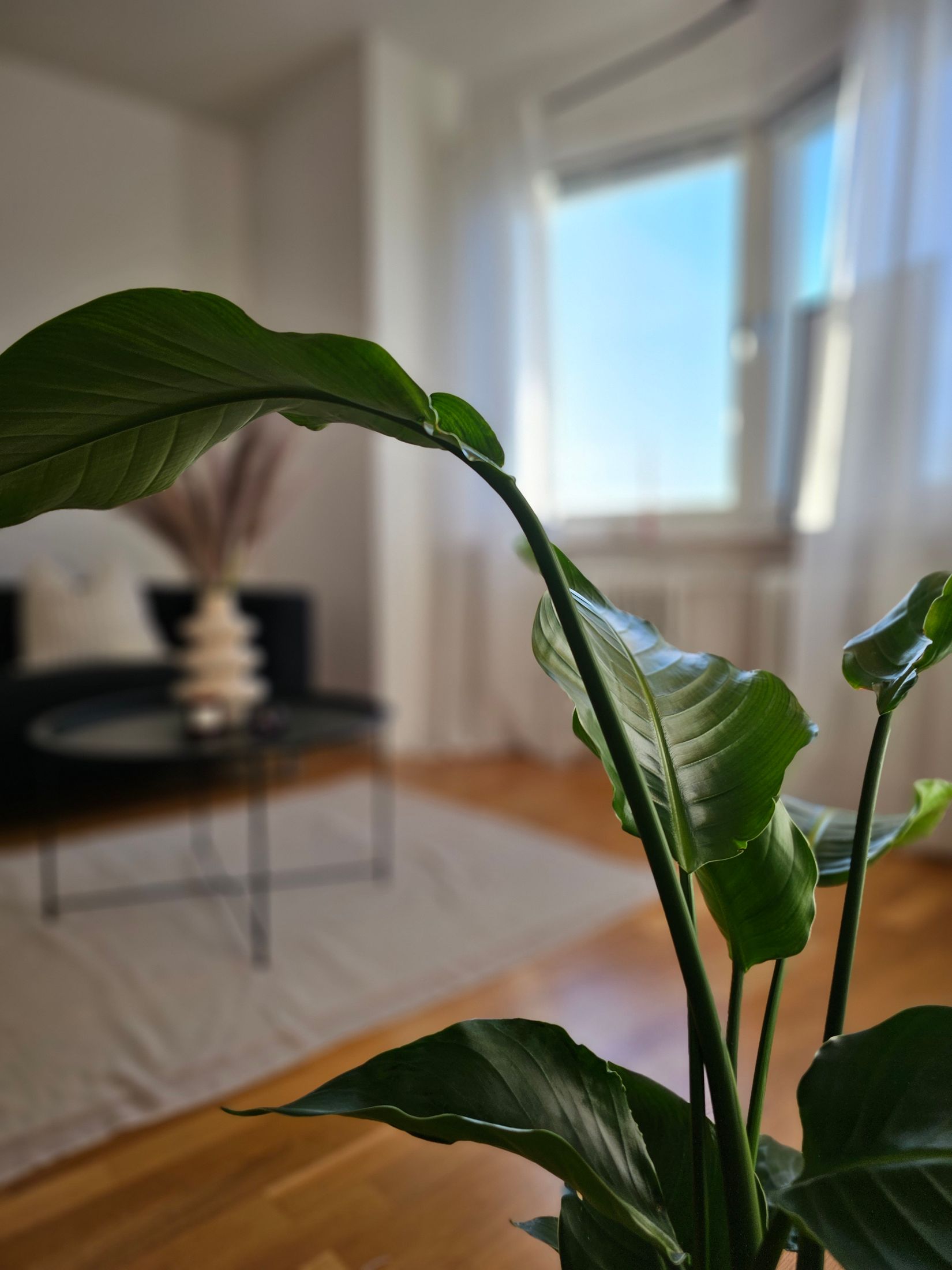 Bostadsrätt, Sveavägen 9C, Sveaplan, Eskilstuna