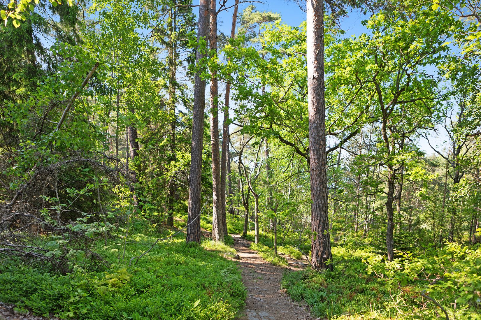 Bostadsrätt, Rusthållarvägen 141, Bagarmossen, Stockholm