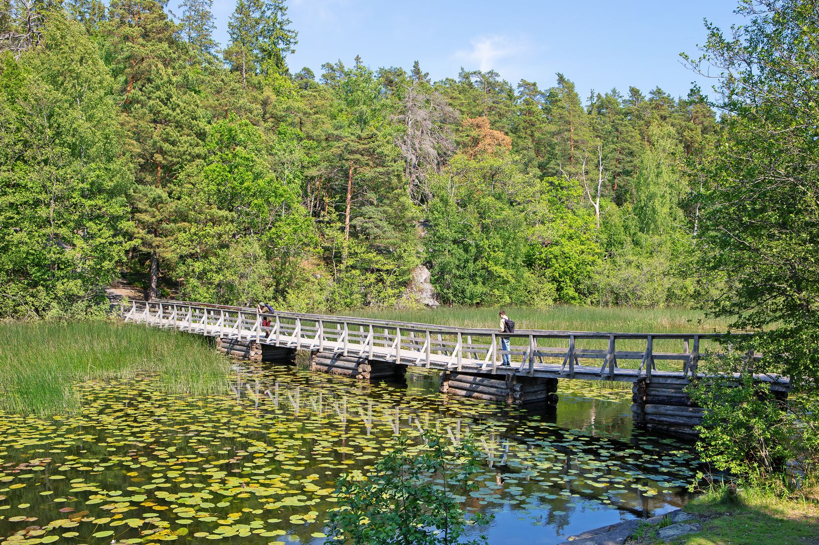 Bostadsrätt, Rusthållarvägen 141, Bagarmossen, Stockholm