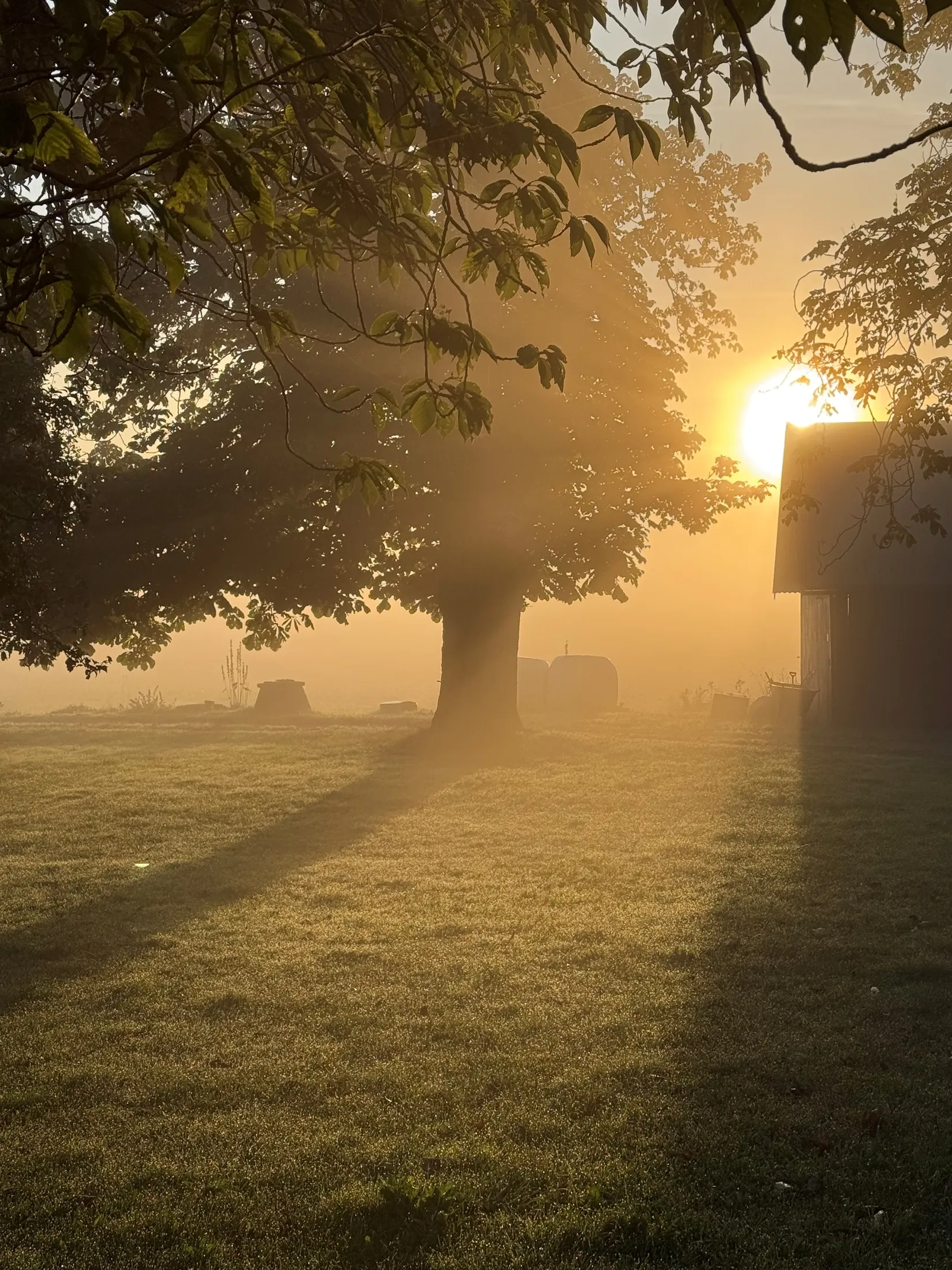 Villa, Västra Virestads byaväg 75-11, Västra Virestad, Trelleborg