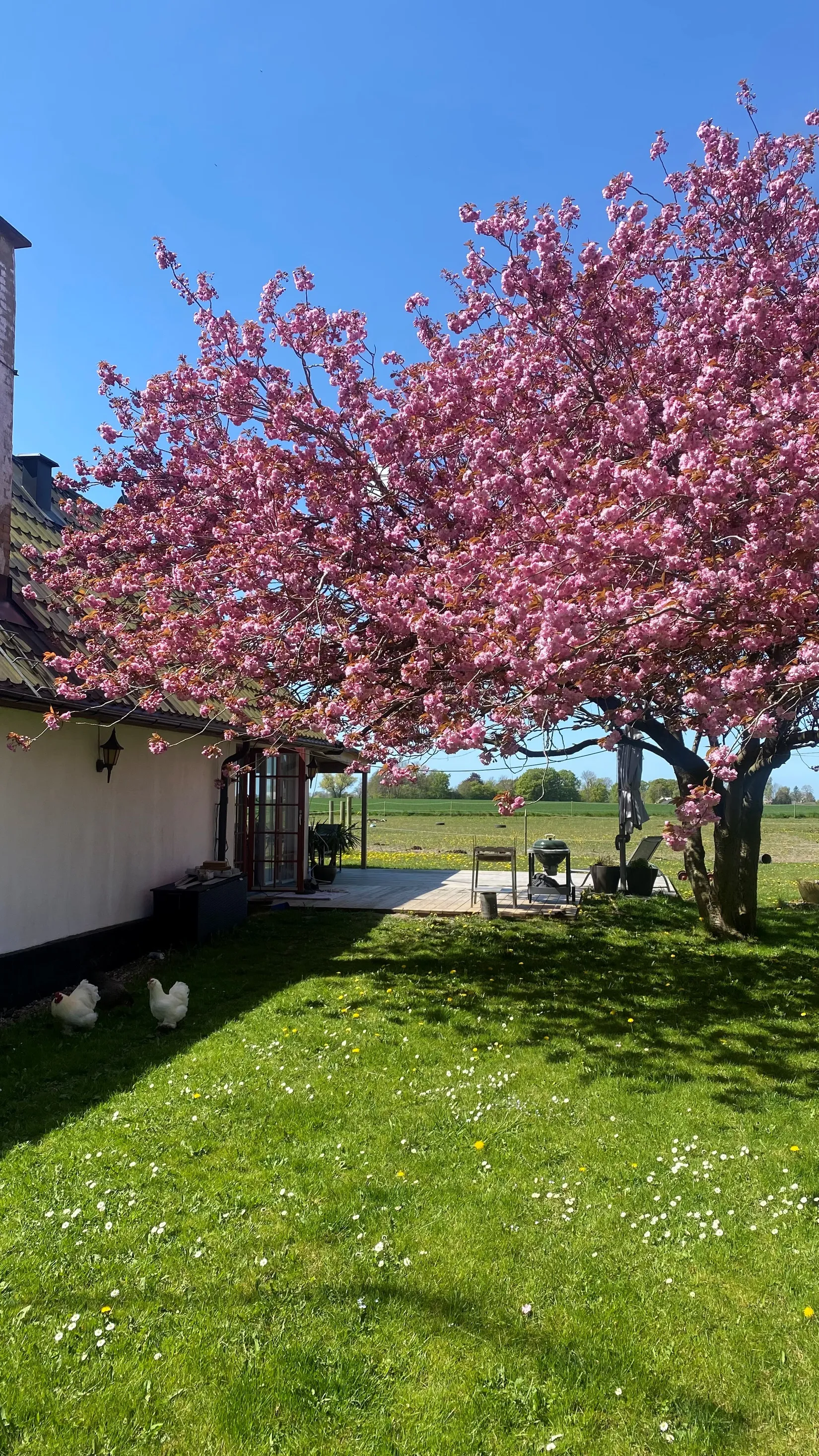 Villa, Västra Virestads byaväg 75-11, Västra Virestad, Trelleborg