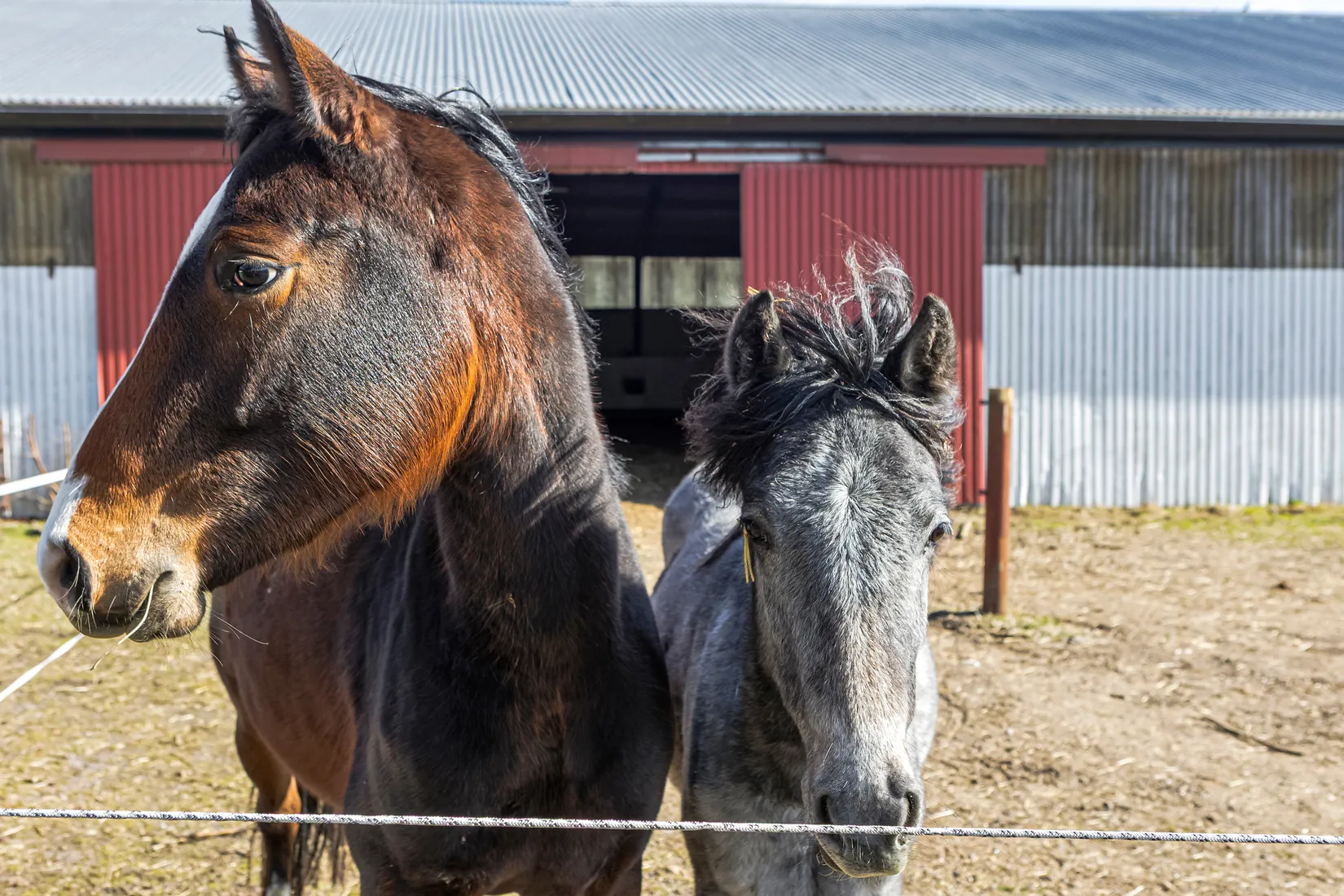Villa, Västra Virestads byaväg 75-11, Västra Virestad, Trelleborg