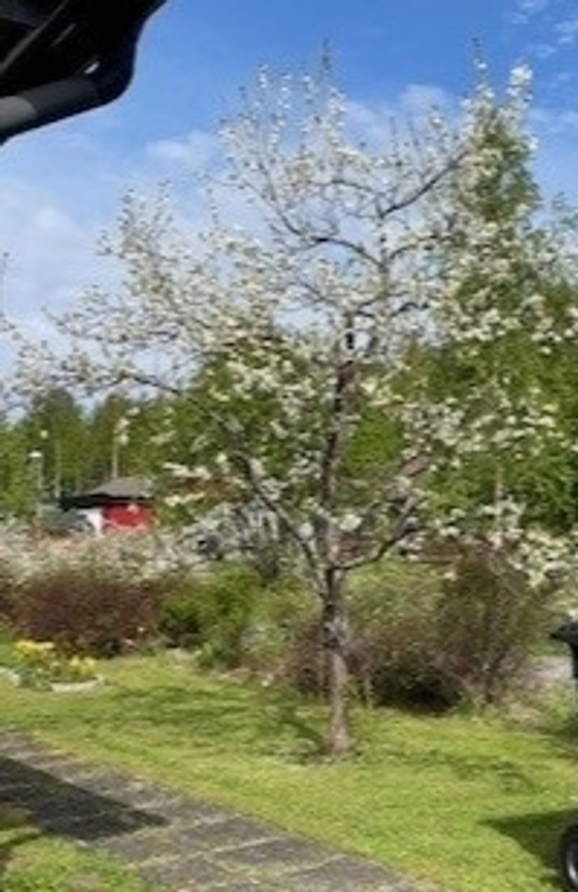 Villa, Vindstigen 30, Morö Backe, Skellefteå