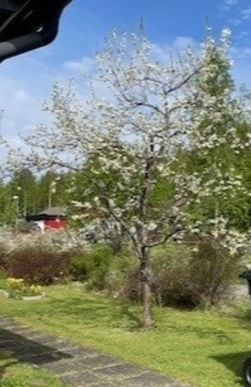 Villa, Vindstigen 30, Morö Backe, Skellefteå