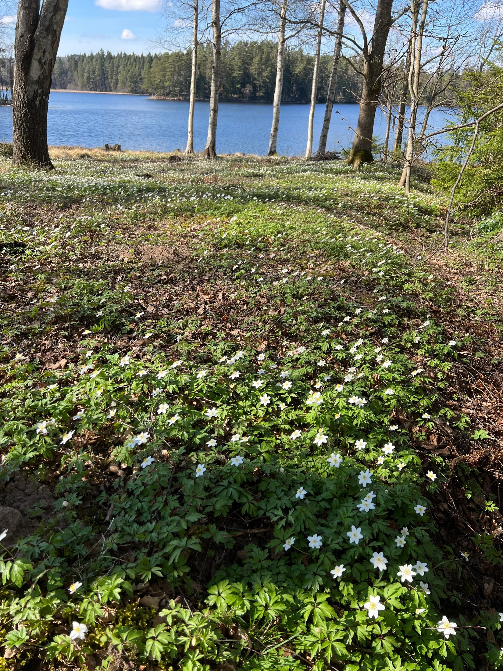 Villa, Broholm 37, Mullsjö