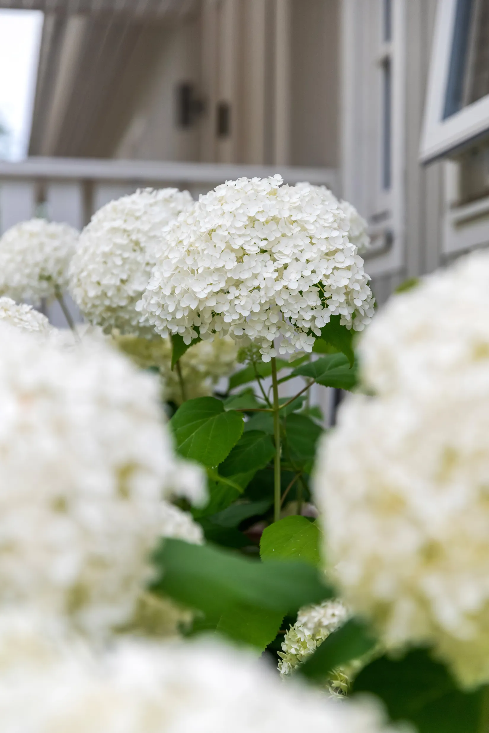 Villa, Getingarnevägen 15, Röcksta, Norrtälje