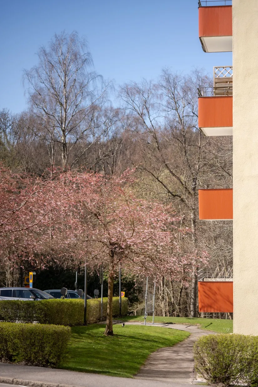 Bostadsrätt, Lindormsgatan 25, Sjöbo, Borås