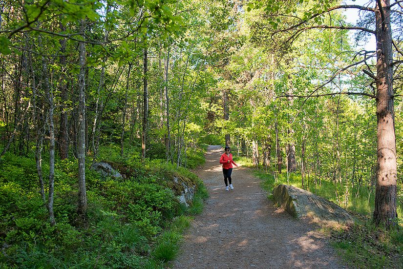 Bostadsrätt, Pelargatan 11, Globen - Skärmarbrink, Stockholm