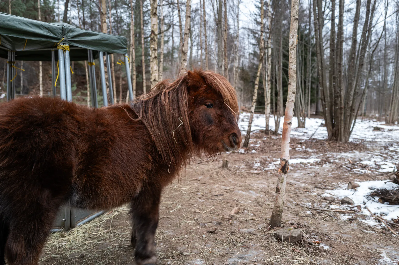 Gård/Skog, Herrestad Skräddarefällan 5, Herrestad, Värnamo