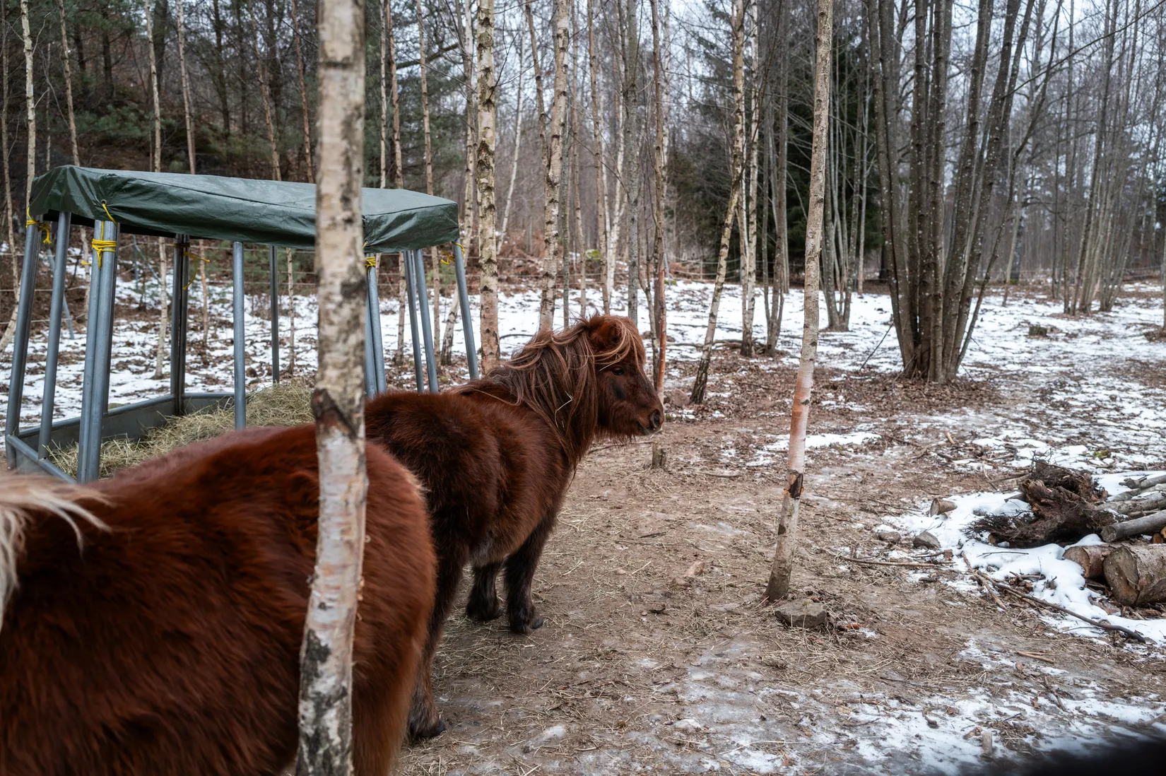 Gård/Skog, Herrestad Skräddarefällan 5, Herrestad, Värnamo