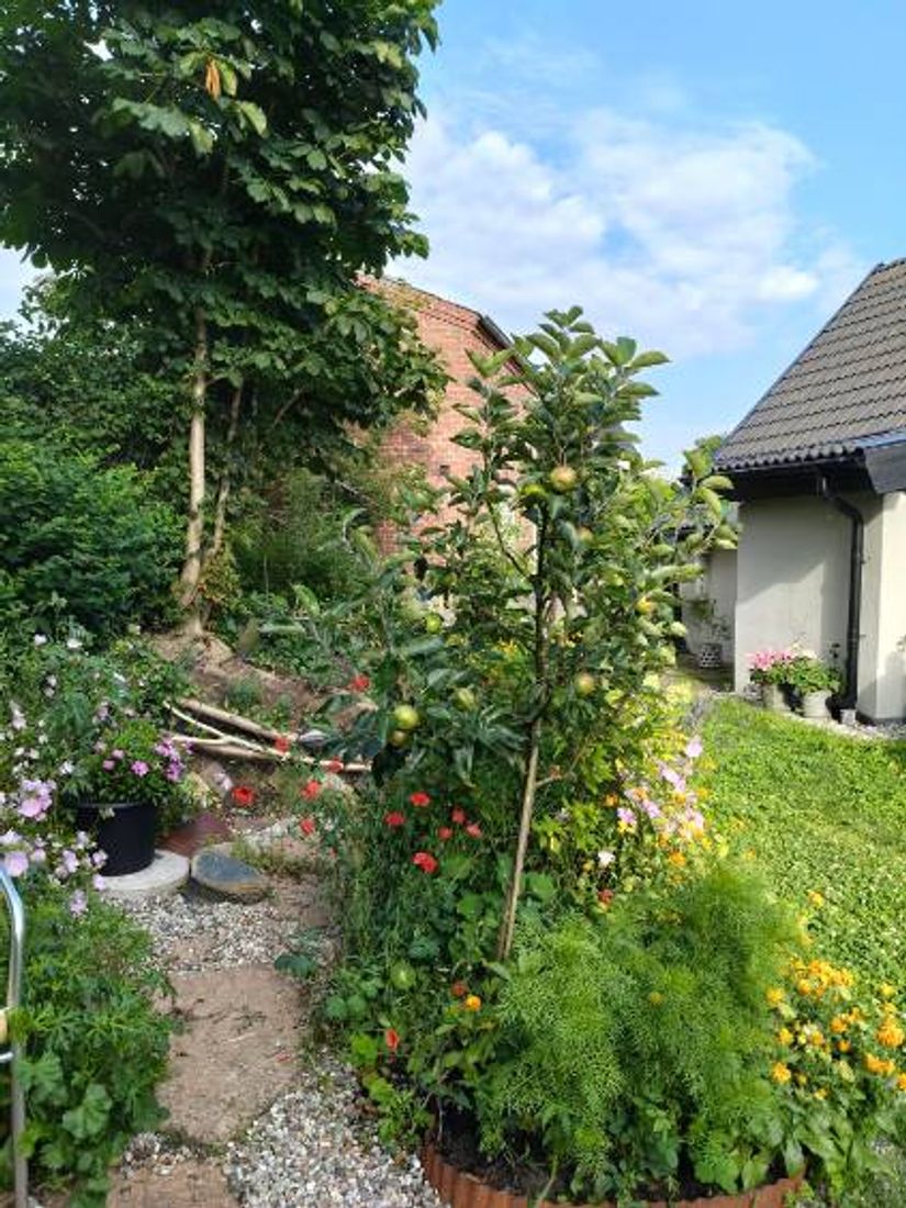 Villa, Ripavägen 4A, Äsperöd, Sjöbo