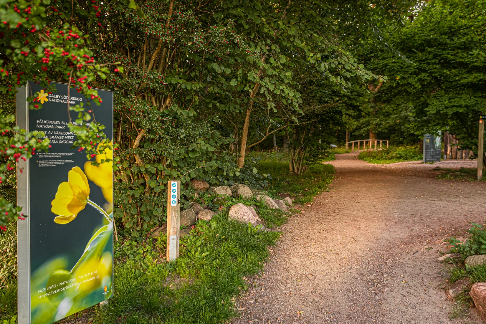 Villa, Domaregatan 4, Dalby, Lund