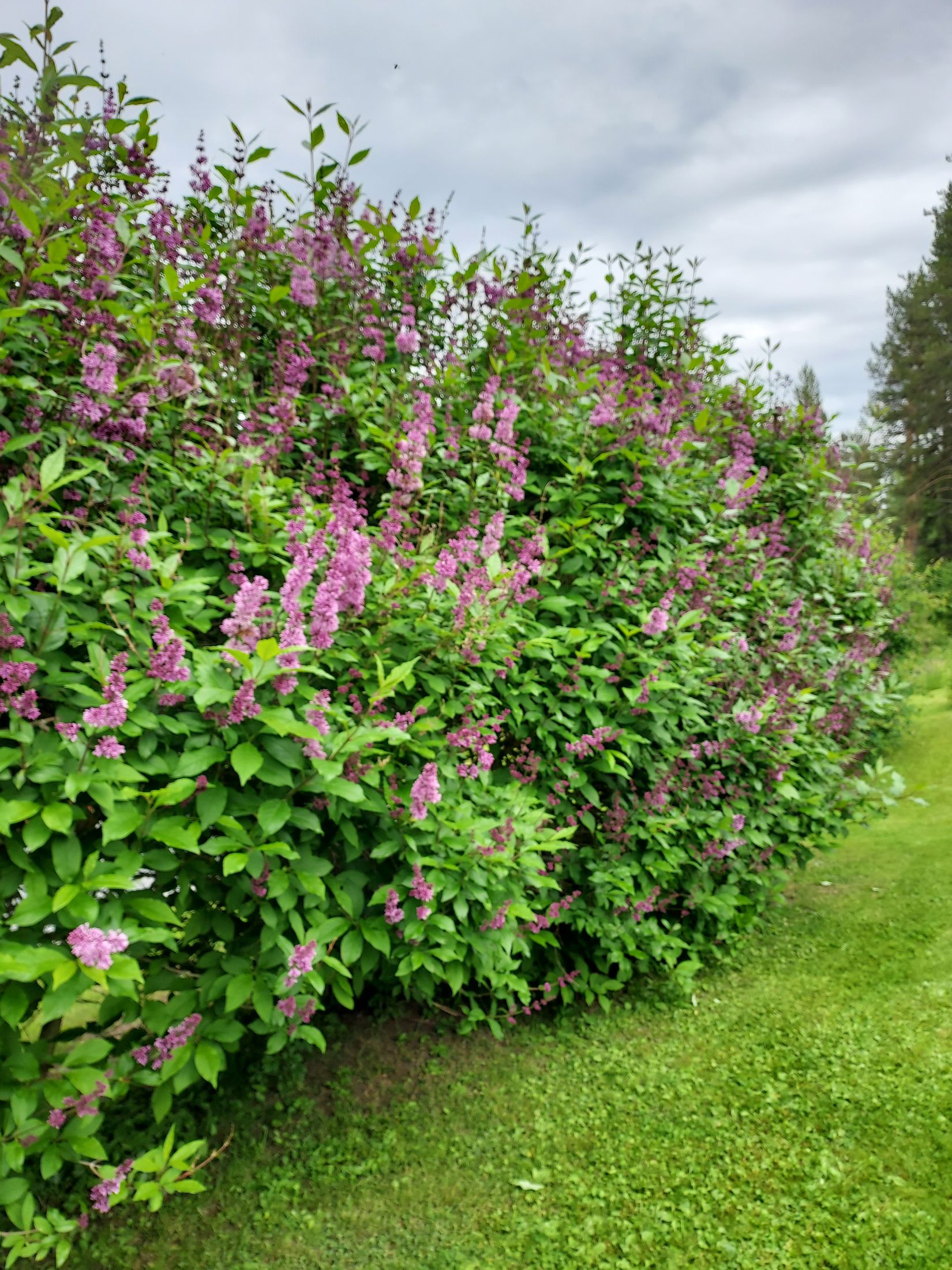 Fritidshus, Kvarnfors 117, Kvarnfors - Gravmark, Umeå