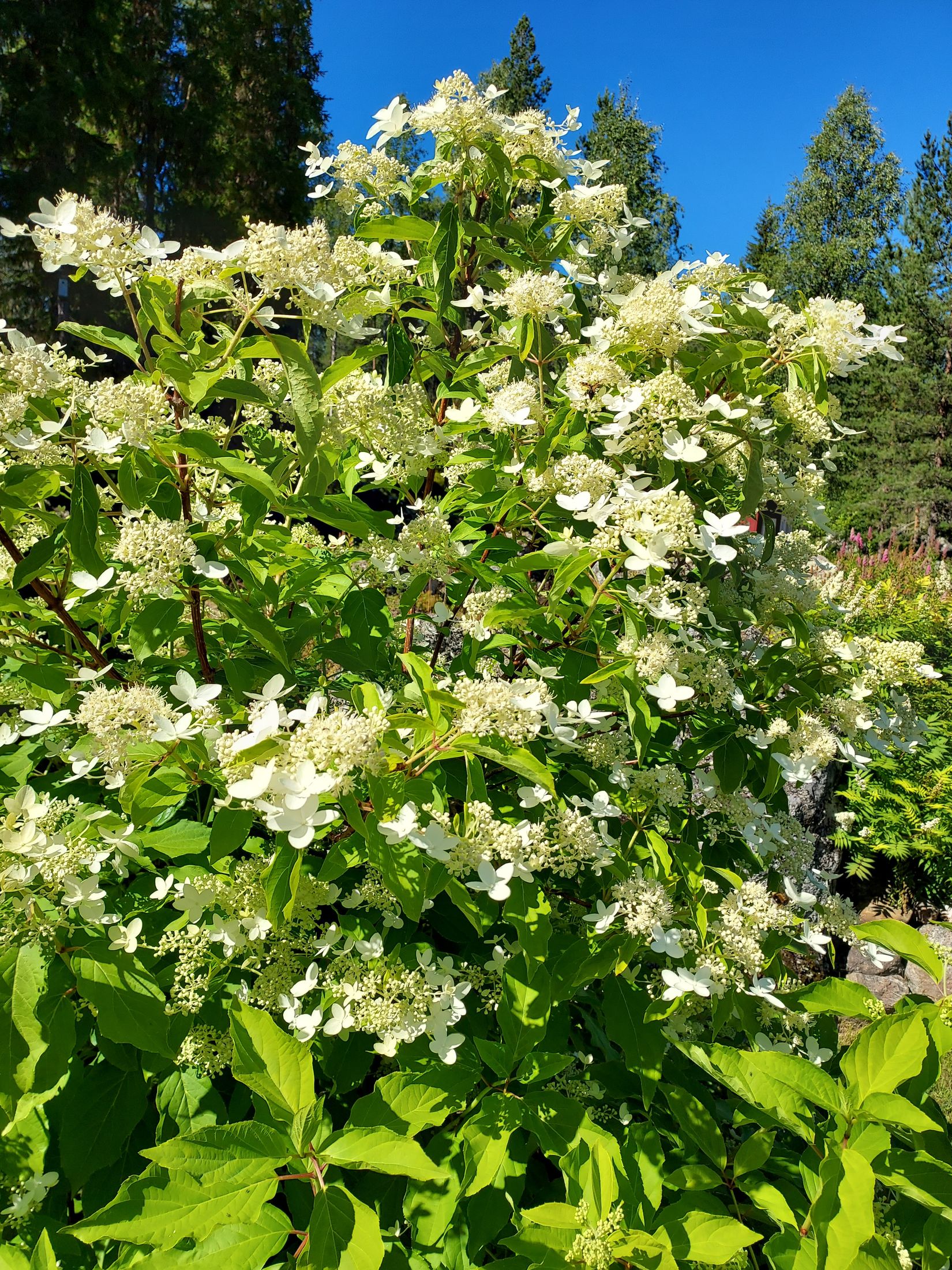 Fritidshus, Kvarnfors 117, Kvarnfors - Gravmark, Umeå