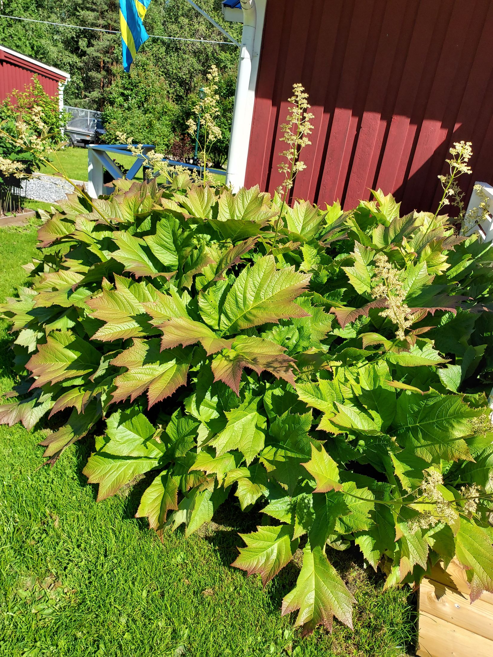 Fritidshus, Kvarnfors 117, Kvarnfors - Gravmark, Umeå