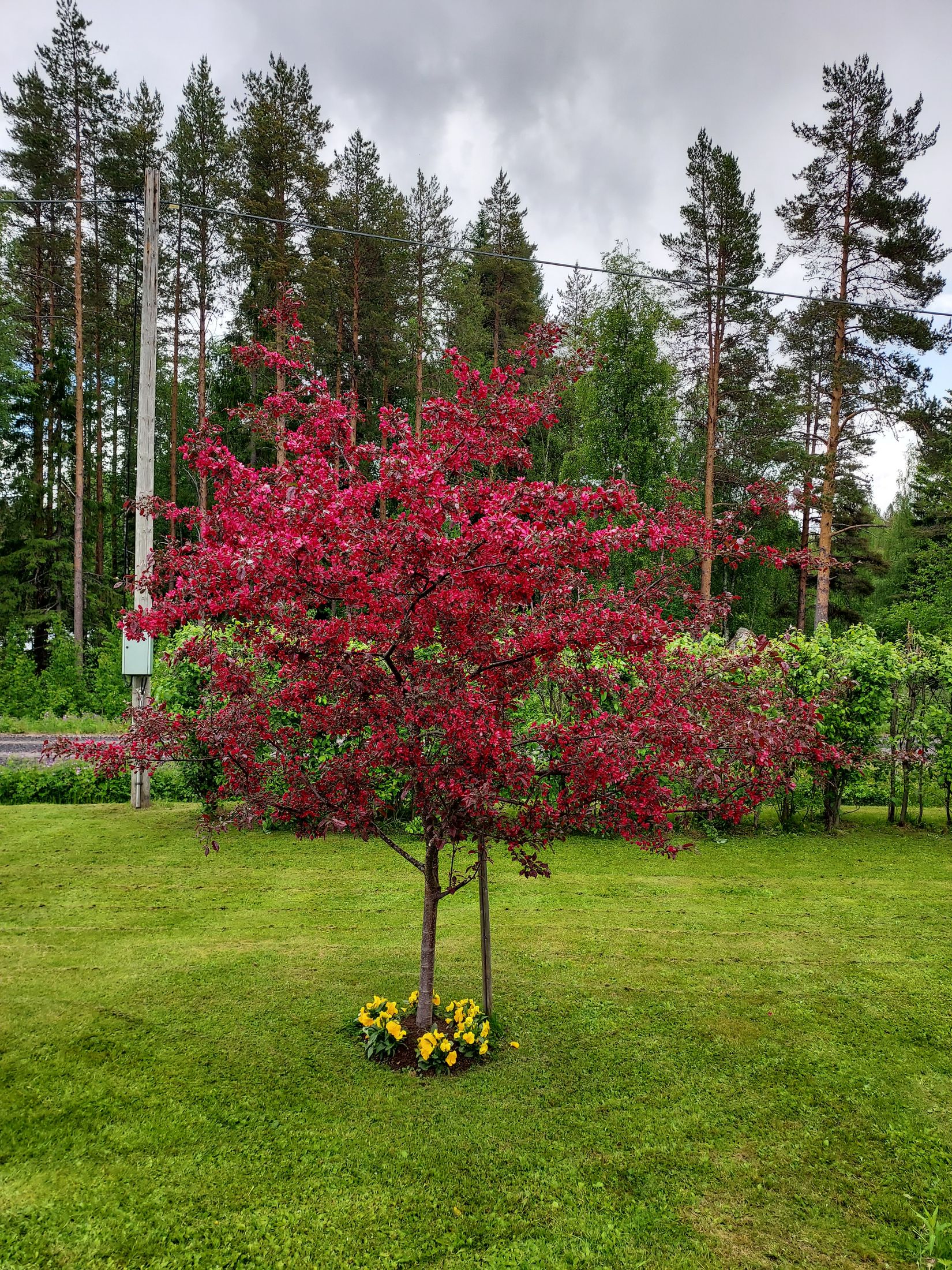 Fritidshus, Kvarnfors 117, Kvarnfors - Gravmark, Umeå