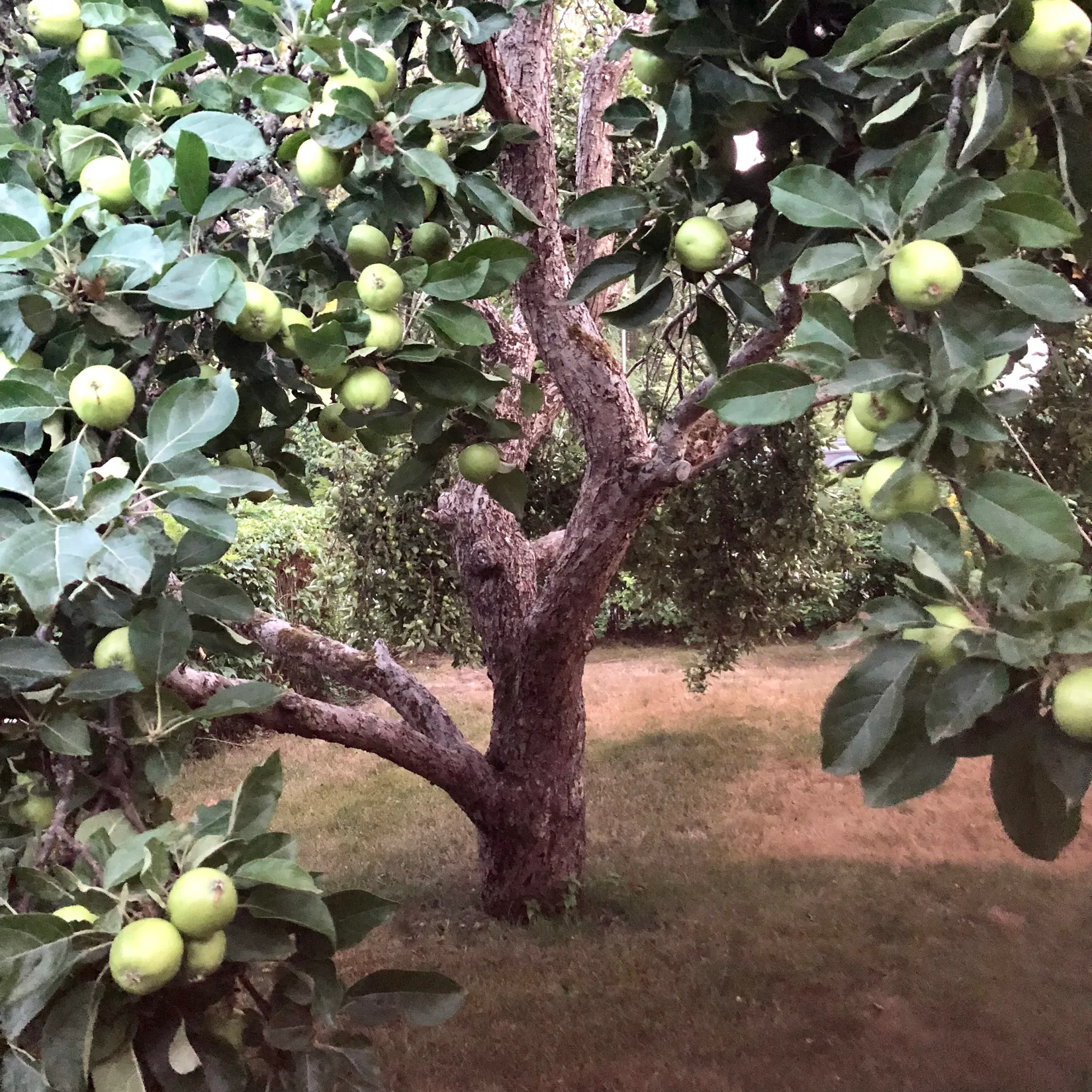 Villa, Milstensvägen 1, Ella Park, Täby