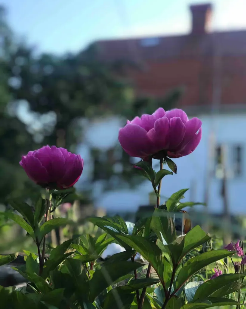 Villa, Amneviksvägen 18, Styrsö, Göteborg