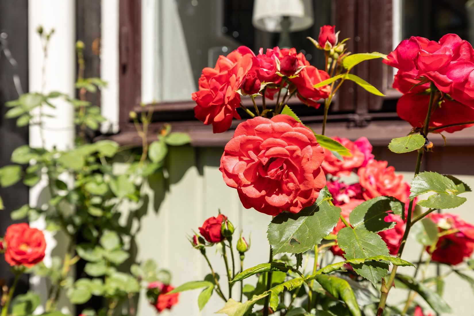 Villa, Rådhusgatan 17, Gamla Norr, Västervik