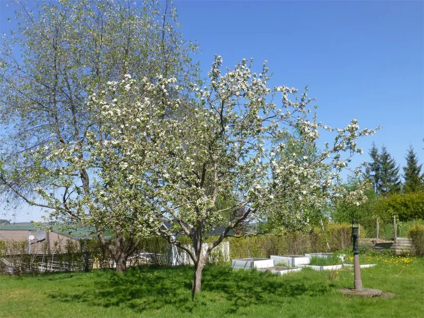 Villa, Västkustslingan 17, Västkusten, Hedemora