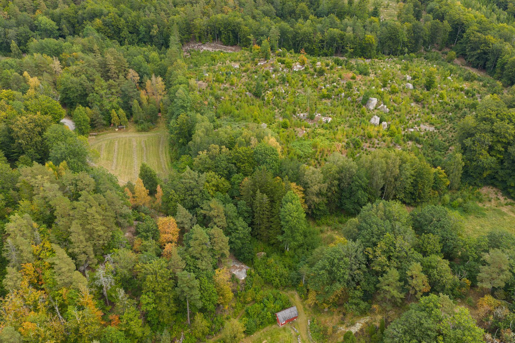 Gård/Skog, Persagårdsvägen 54-10, Östad, Bromölla