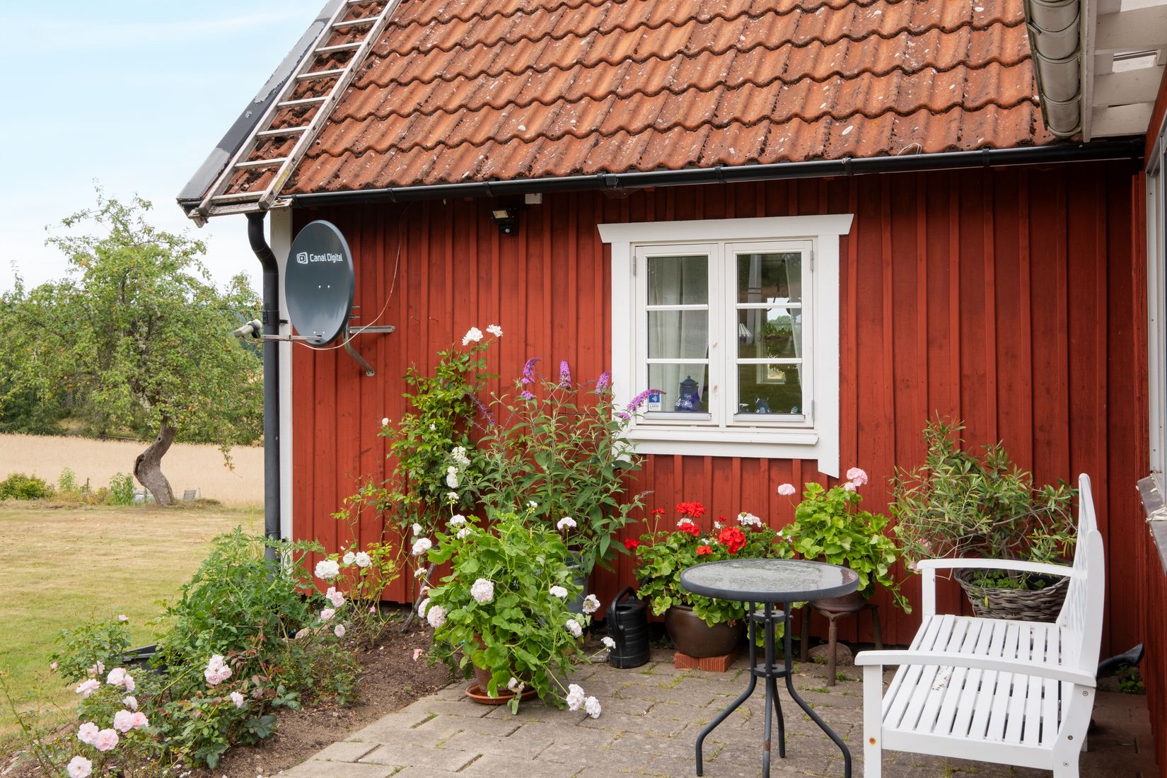 Gård/Skog, Persagårdsvägen 54-10, Östad, Bromölla