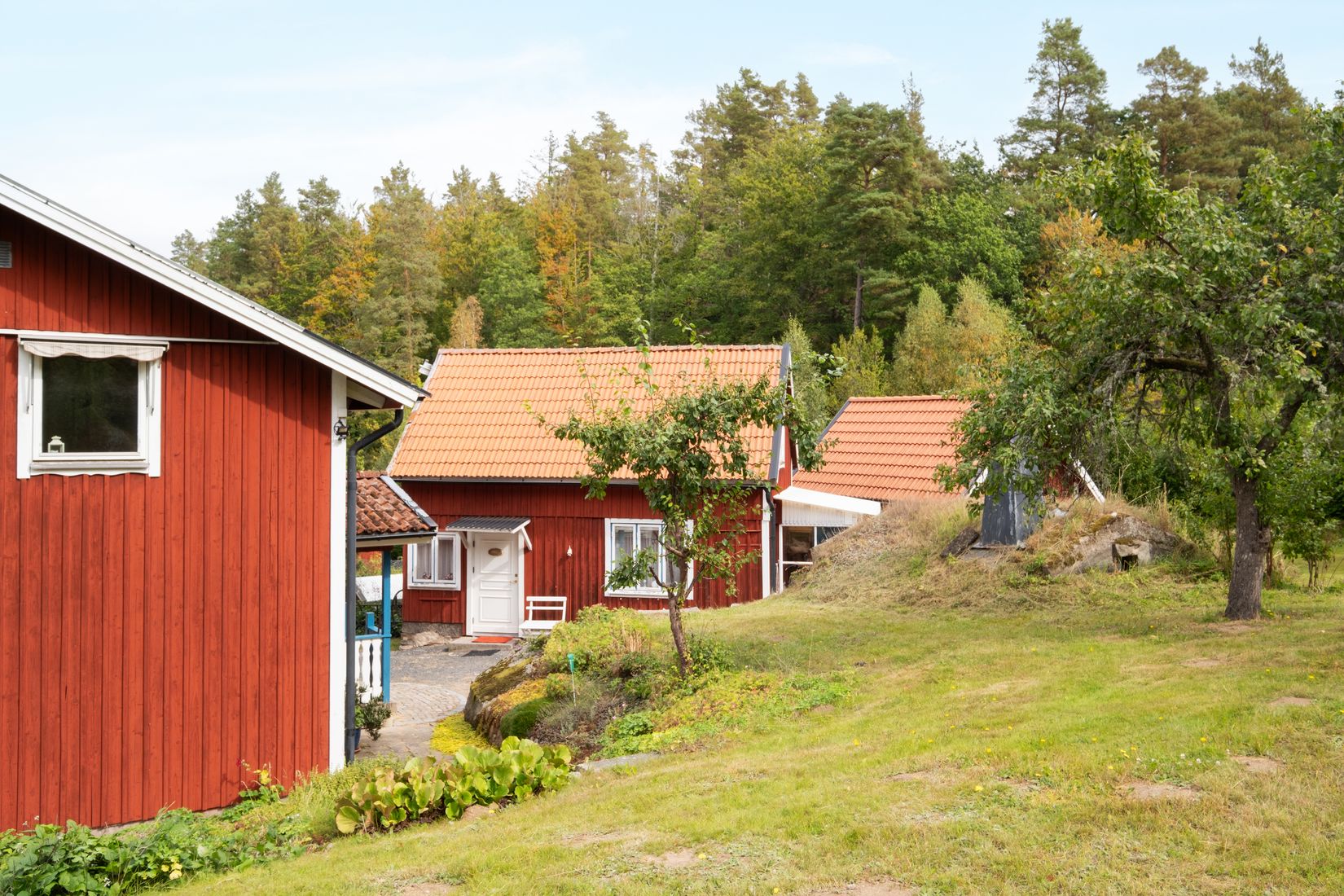 Gård/Skog, Persagårdsvägen 54-10, Östad, Bromölla