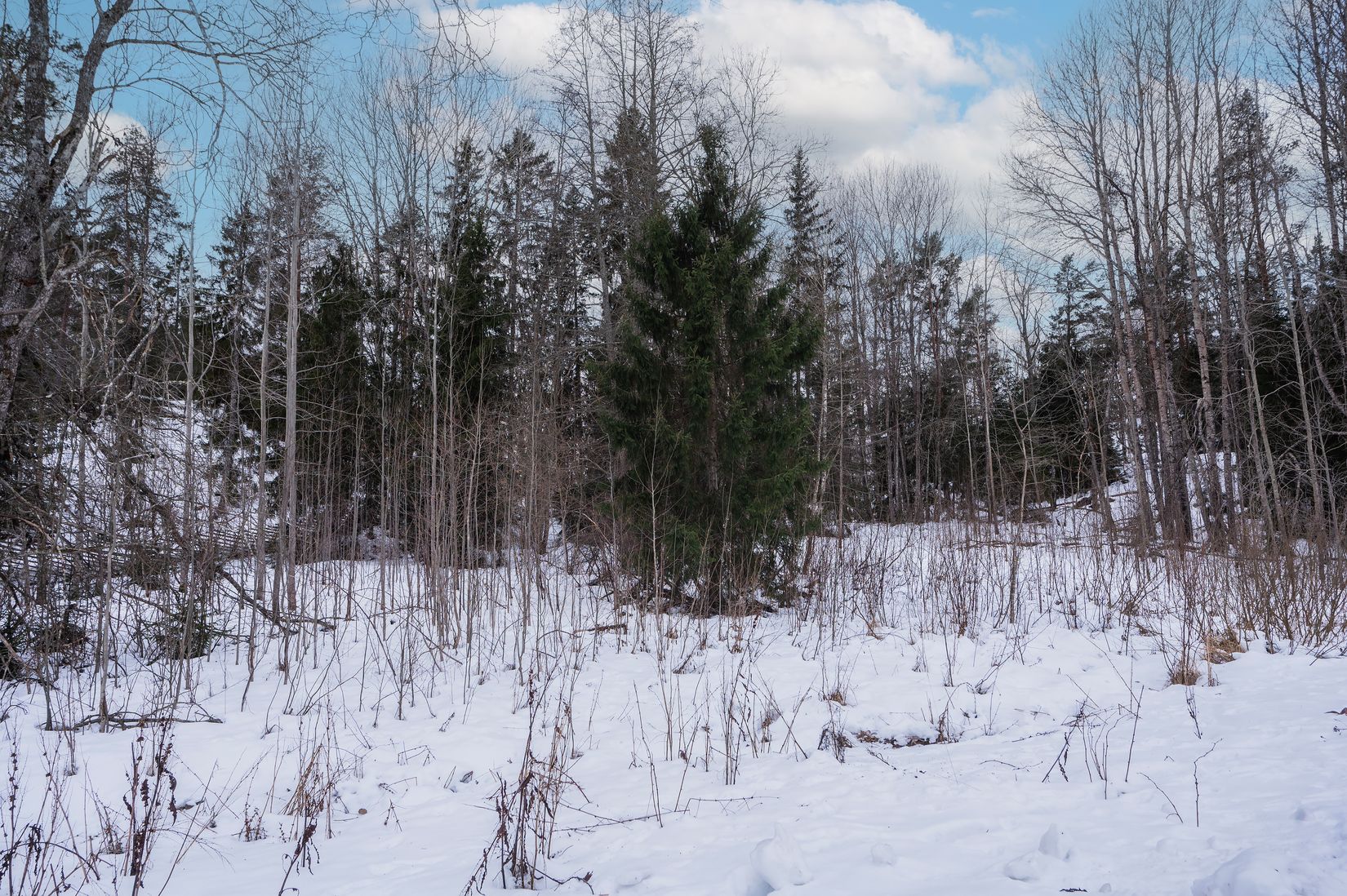 Tomt, Helmerdalsvägen 28, Vidja, Huddinge