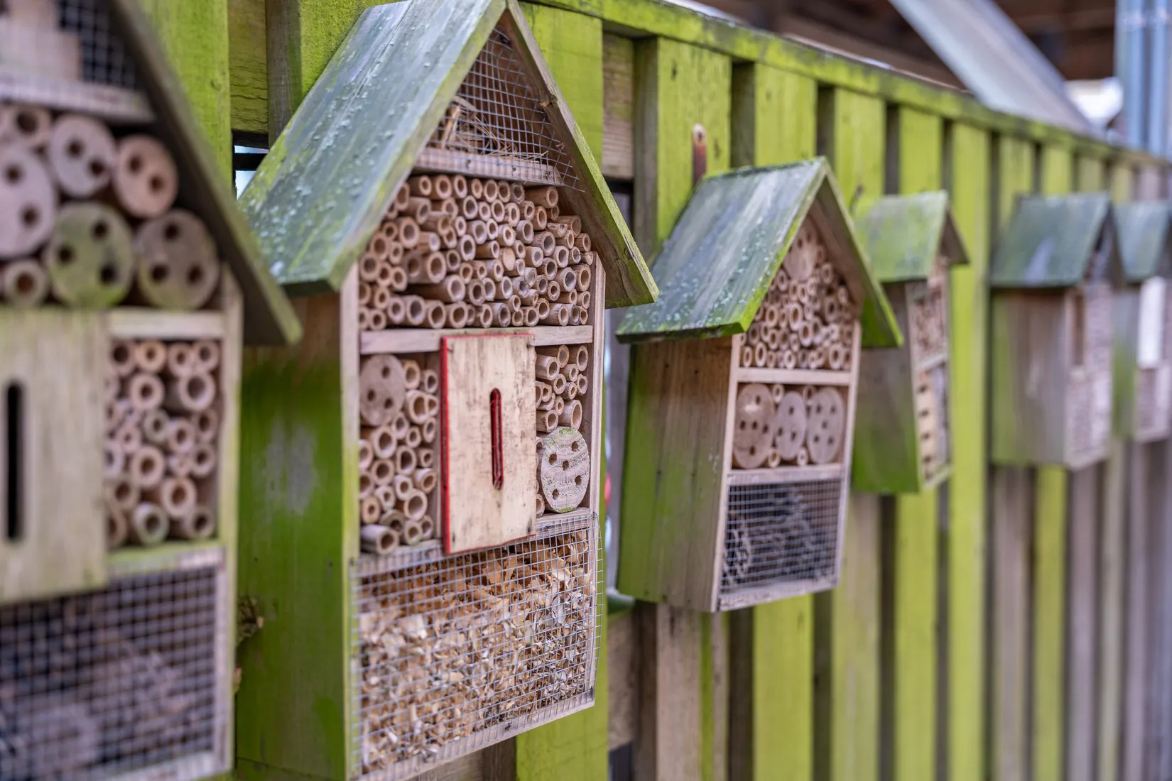 Bostadsrätt, Eriksrogatan 1a, Fågelbacken, Malmö