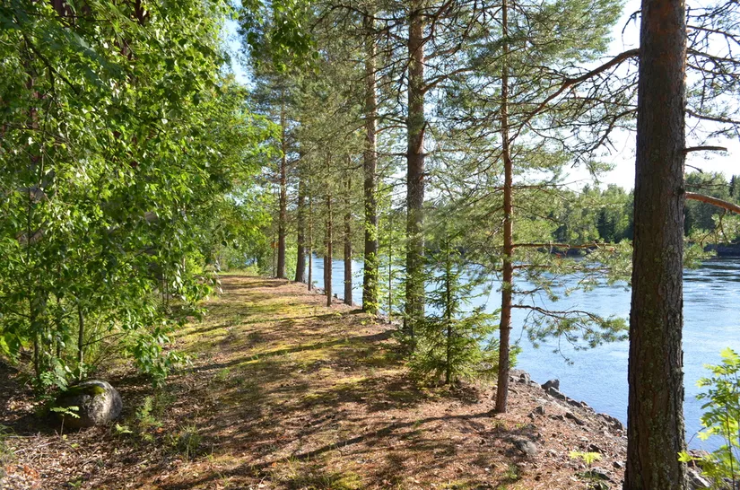 Villa, Bjurfors 20, Bjurfors, Vindeln