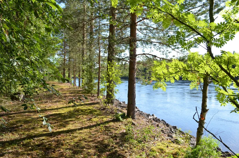 Villa, Bjurfors 20, Bjurfors, Vindeln