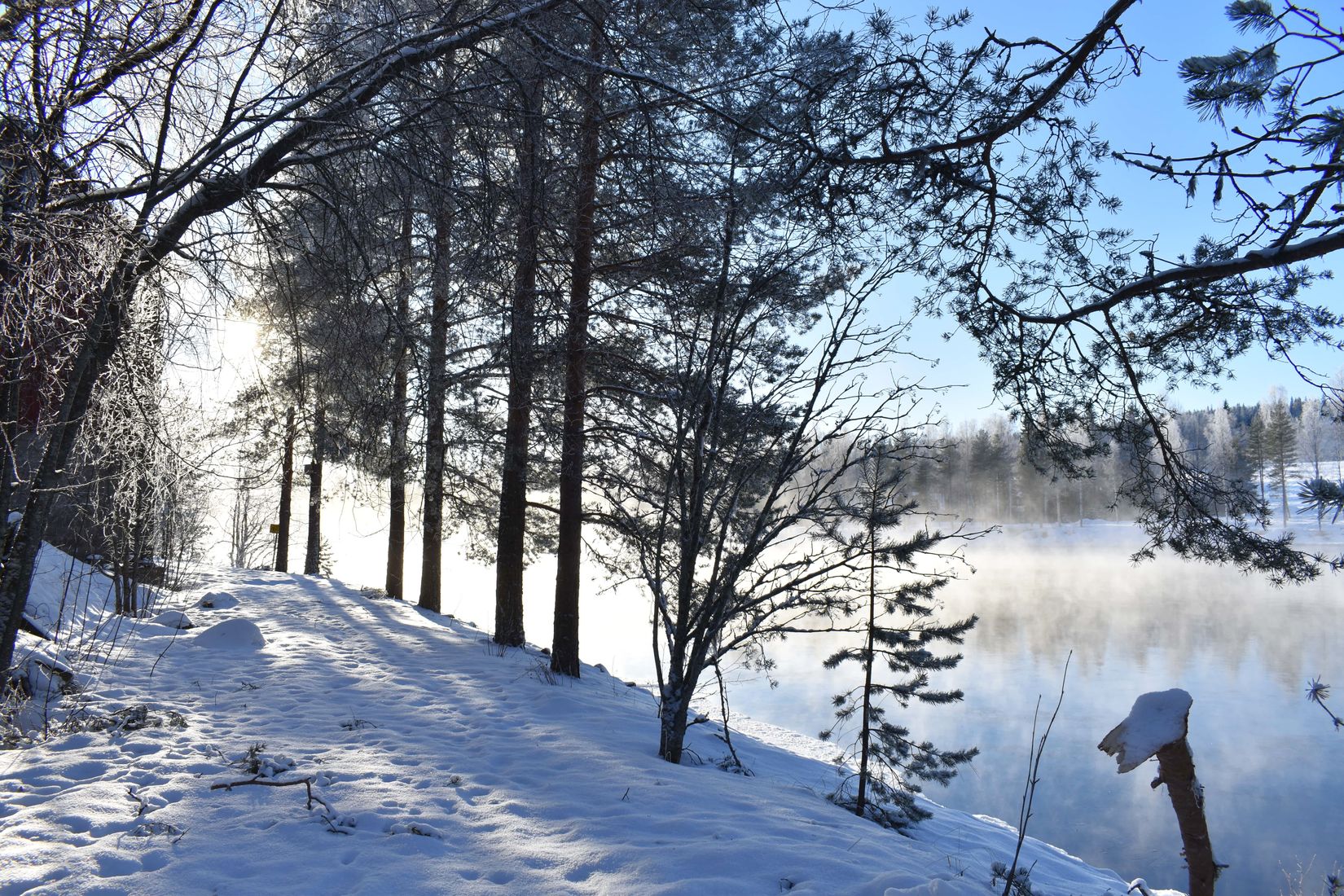 Villa, Bjurfors 20, Bjurfors, Vindeln