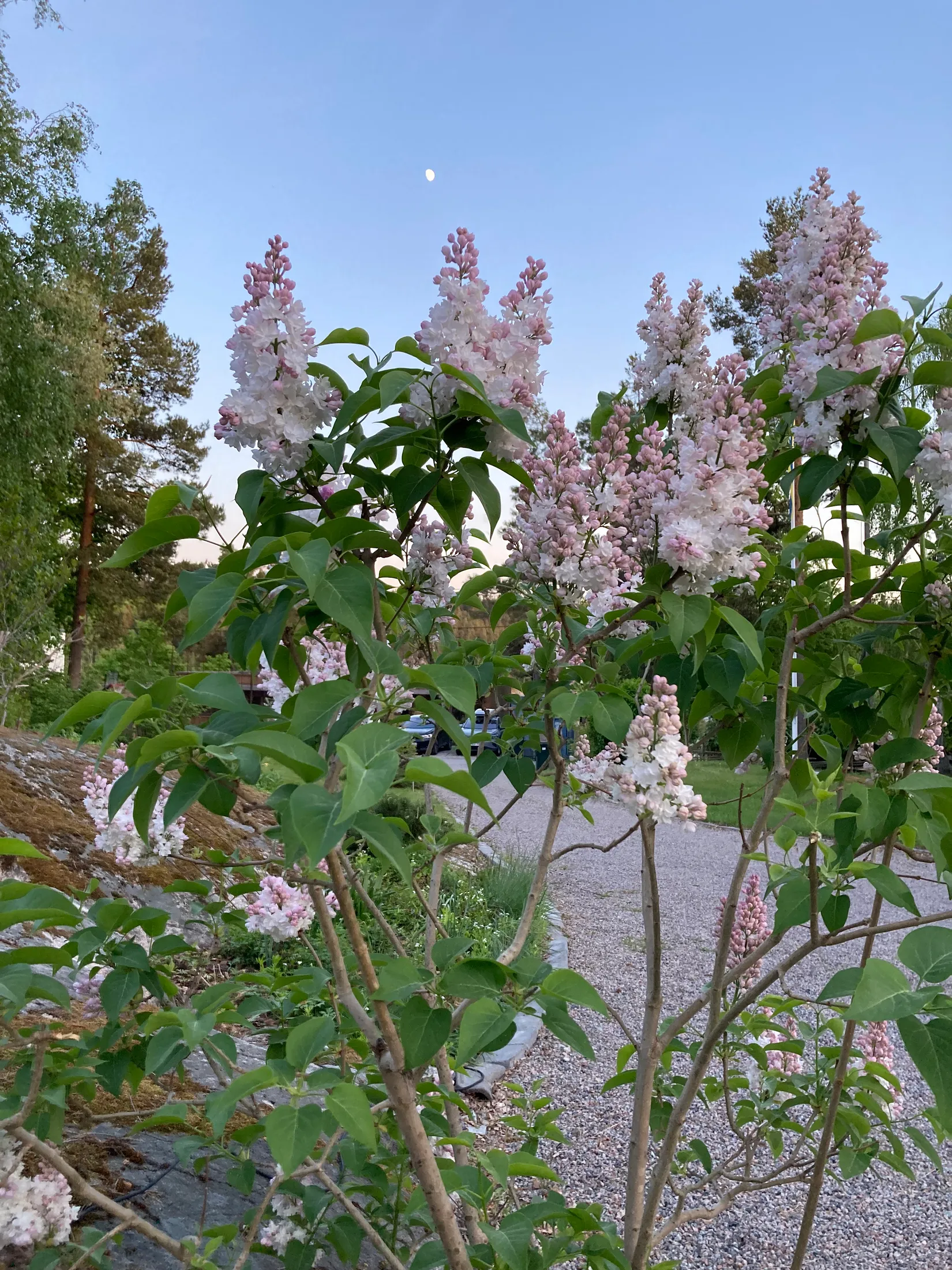 Villa, SKARPÄNGSVÄGEN 27B, Hästängsudd, Österåker