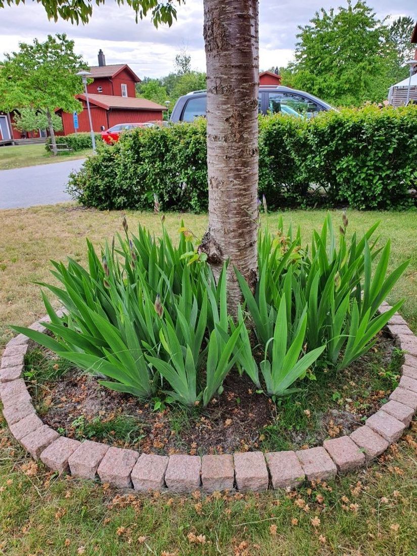 Bostadsrätt, Korpstigen 12 A, Råby, Upplands-Bro