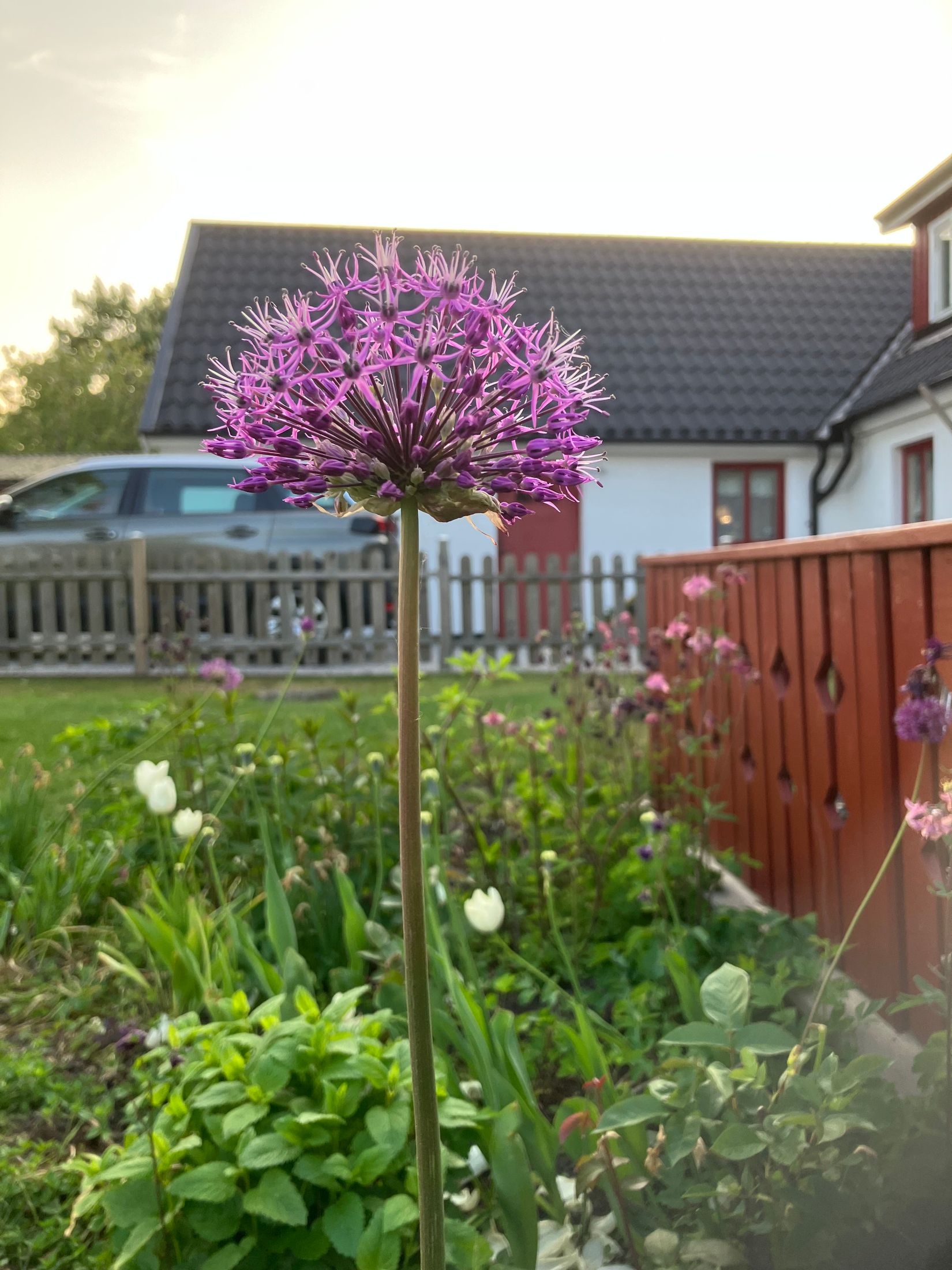 Villa, Bussjögårdsvägen 7, Bussjö, Ystad