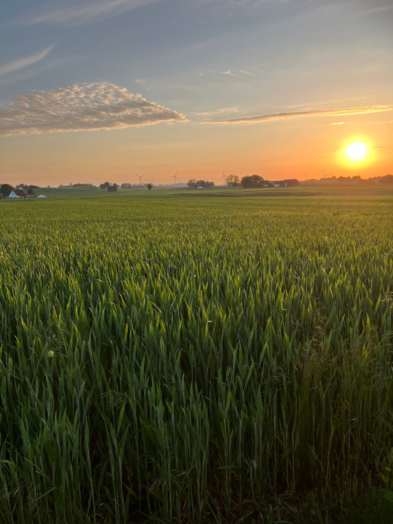 Villa, Bussjögårdsvägen 7, Bussjö, Ystad