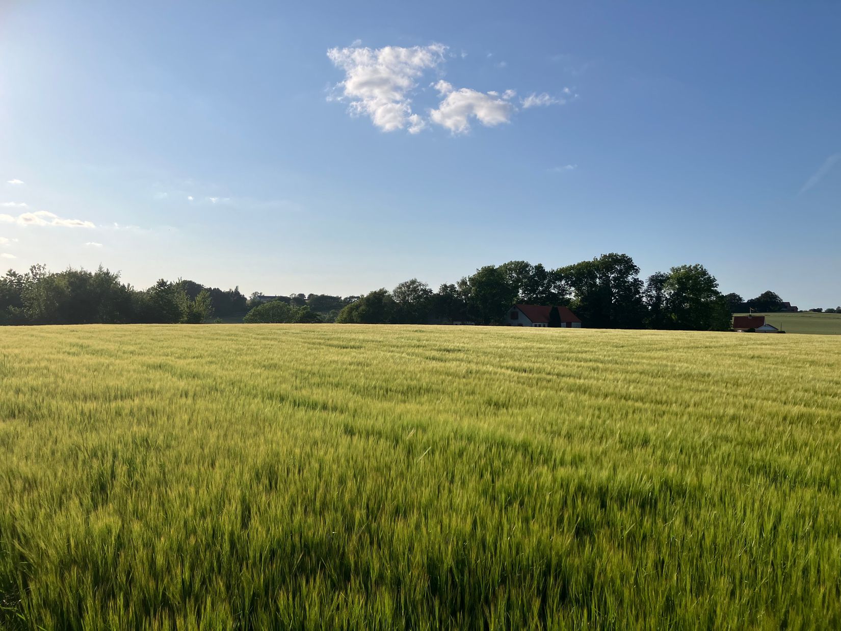 Villa, Bussjögårdsvägen 7, Bussjö, Ystad