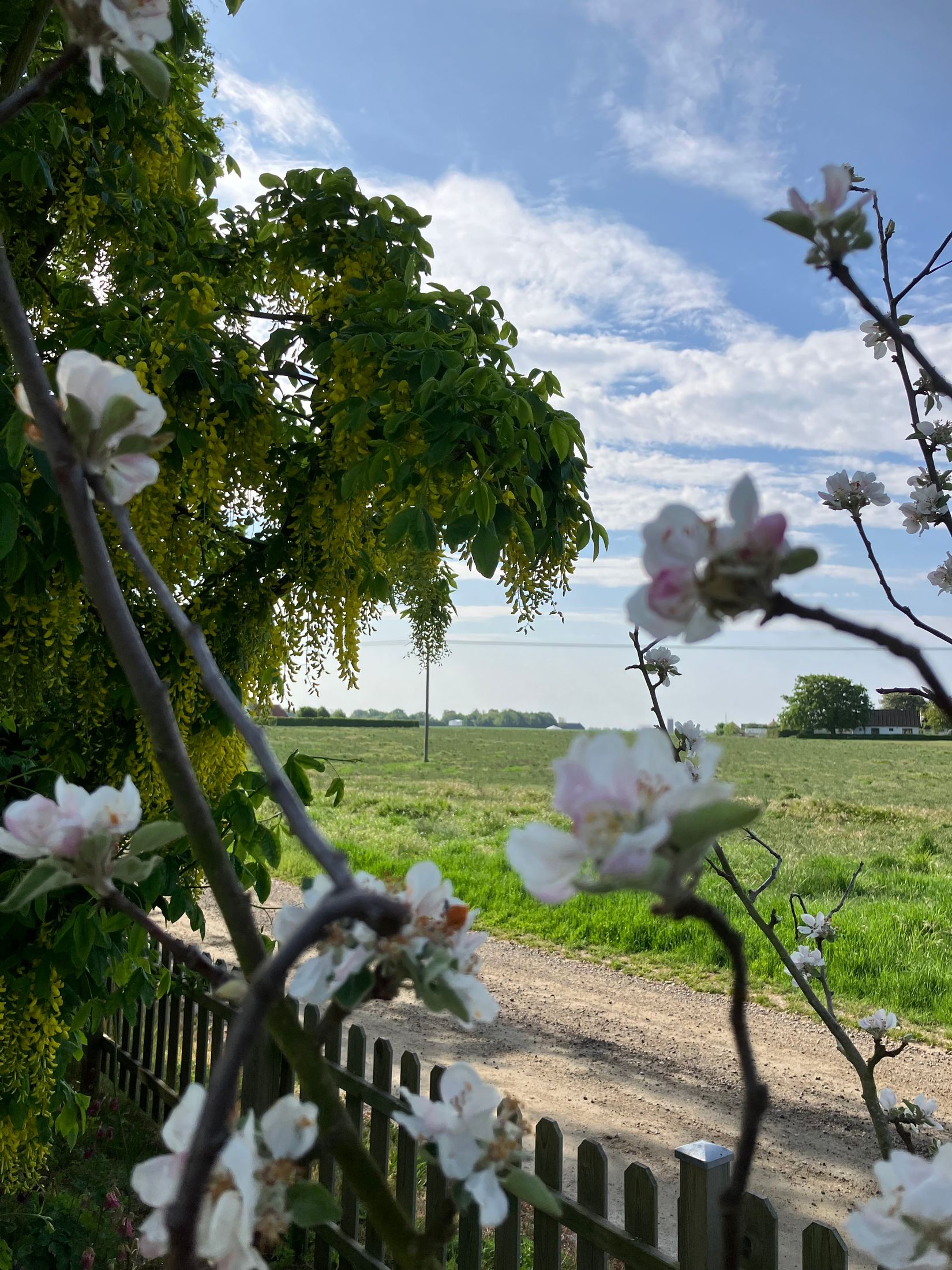 Villa, Bussjögårdsvägen 7, Bussjö, Ystad