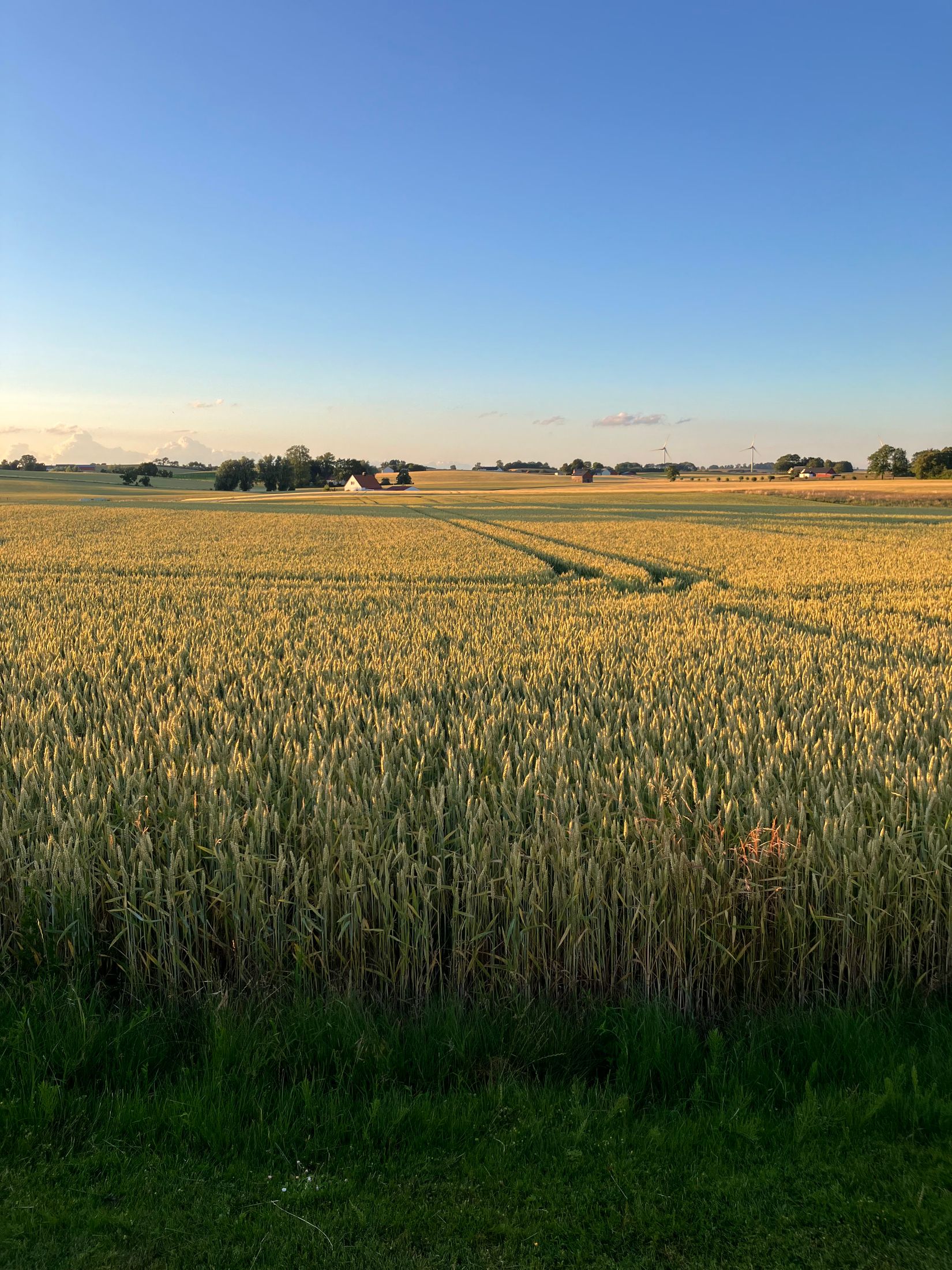 Villa, Bussjögårdsvägen 7, Bussjö, Ystad