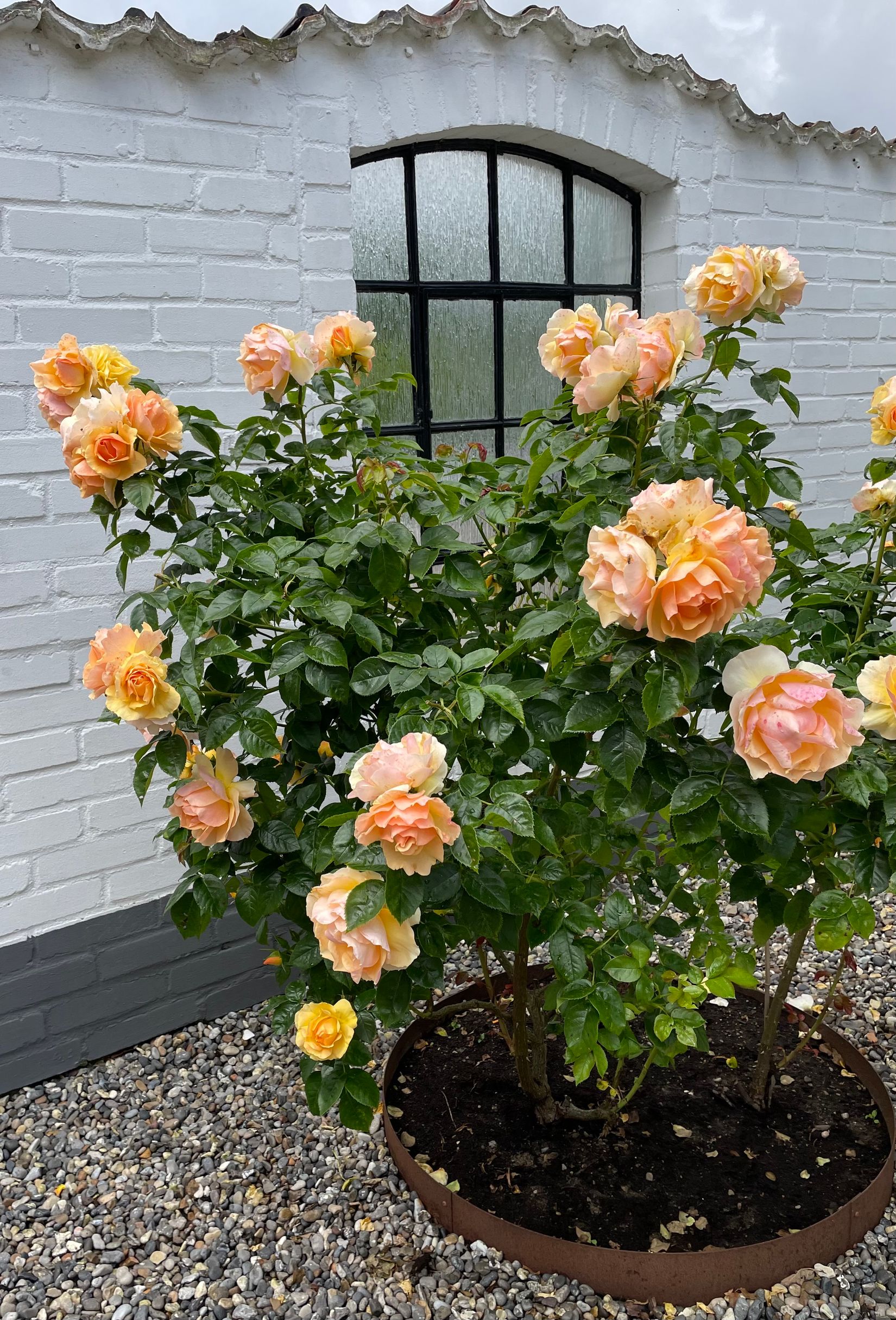 Villa, Kustvägen 35, Abbekås, Skurup