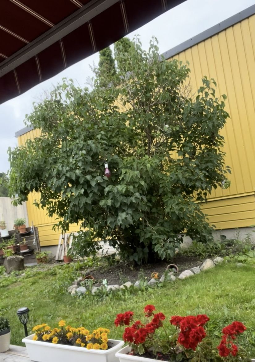 Villa, Radhus, Rosengårdsvägen 231, Dragonvreten, Vallentuna