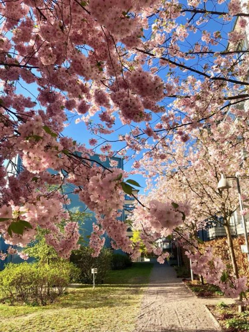 Bostadsrätt, Fyrvaktarkroken 30, 6 tr, Blåsut, Stockholm