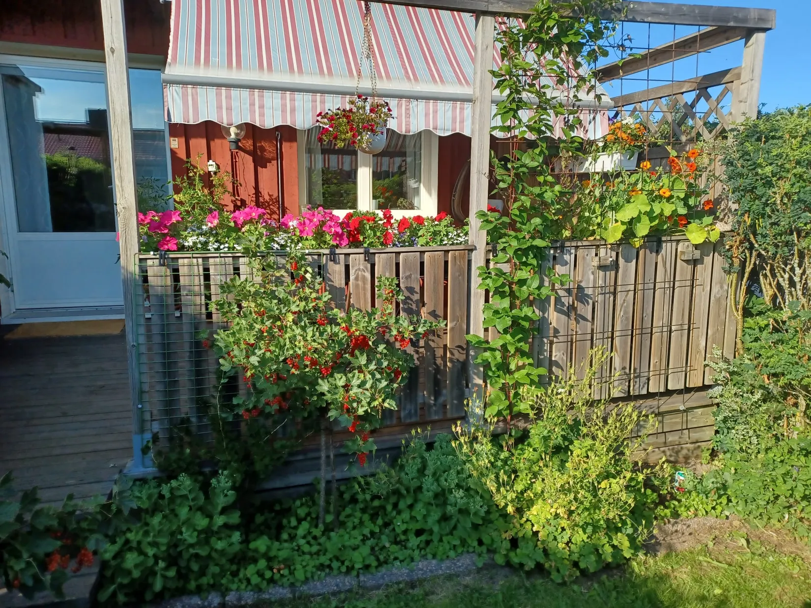 Bostadsrätt, Radhus, Frideborgsgatan 28, Södra Brännan, Härnösand