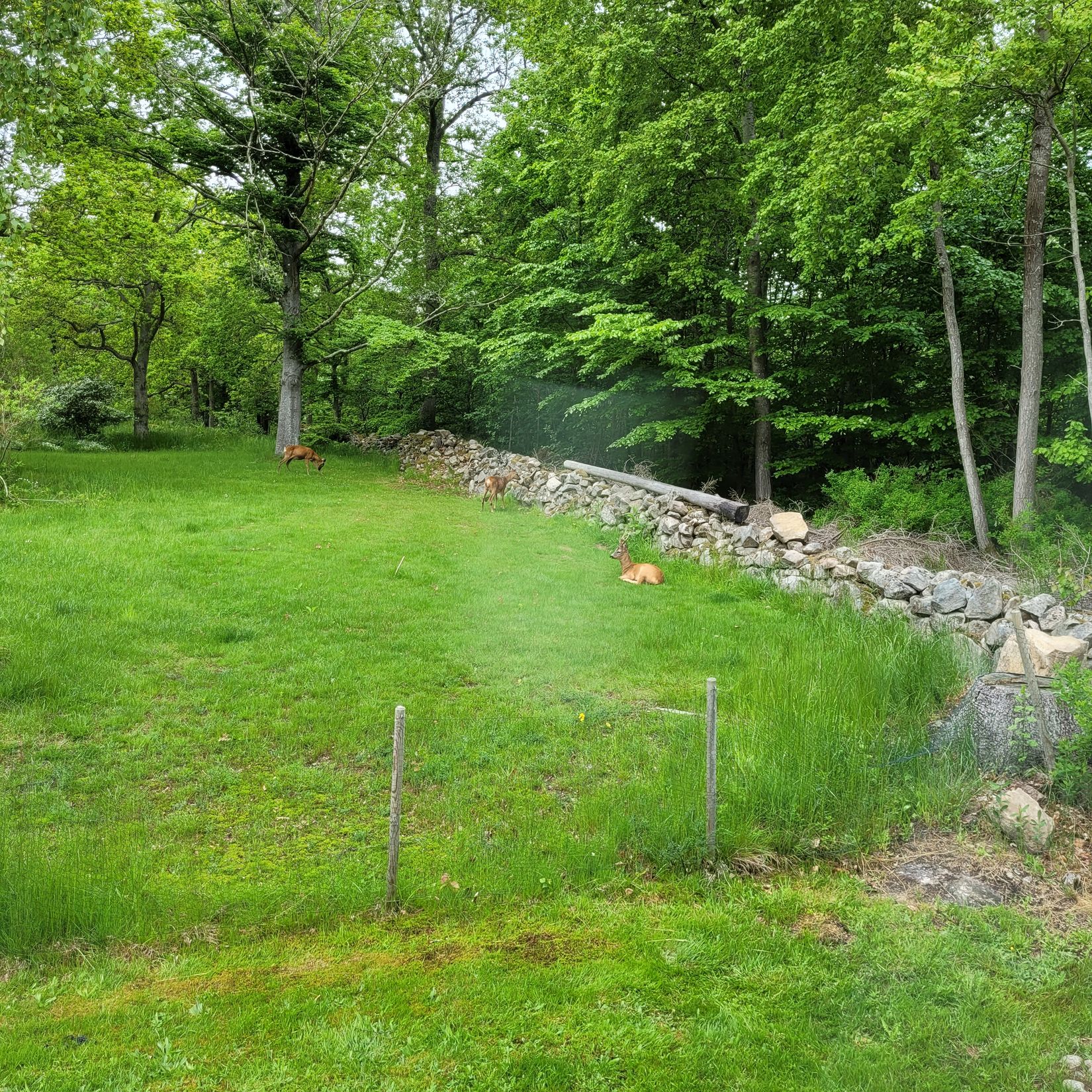 Villa, Ekenäsvägen 18, Ekenäs, Ronneby