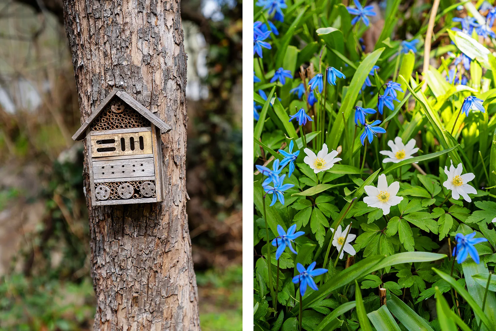 Villa, Arbetsvägen 3, Enskede - Pungpinan, Stockholm