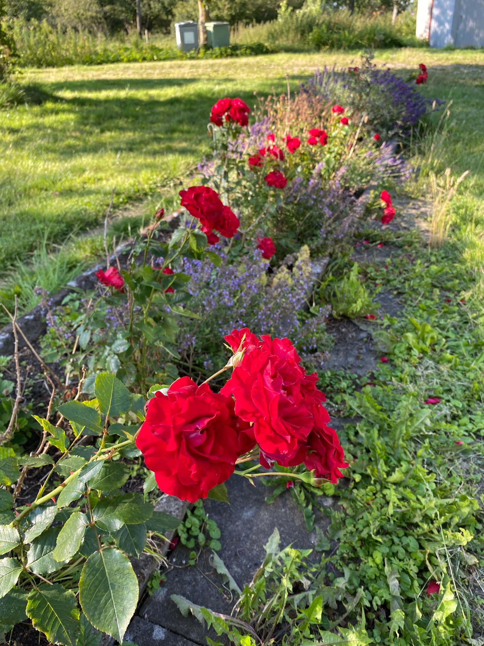 Villa, Havdhem Libbenarve 662, Havdhem, Gotland