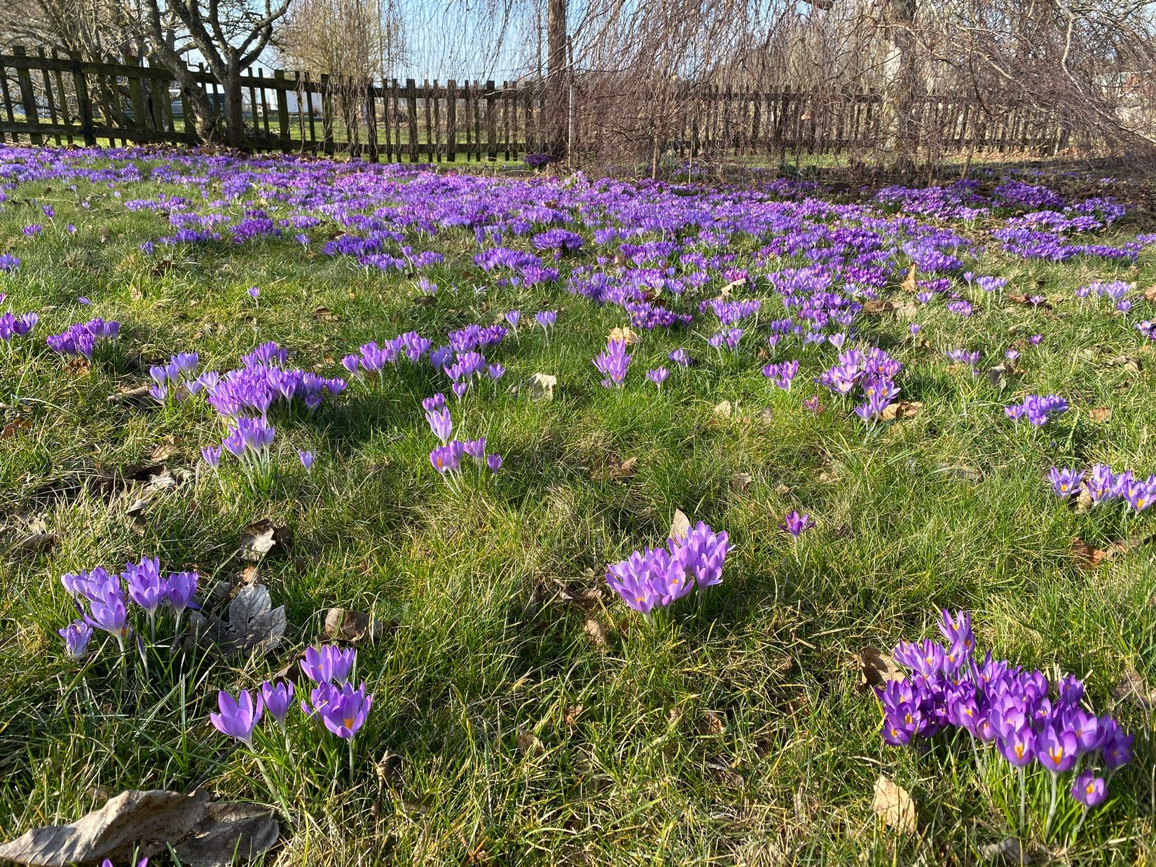 Villa, Havdhem Libbenarve 662, Havdhem, Gotland