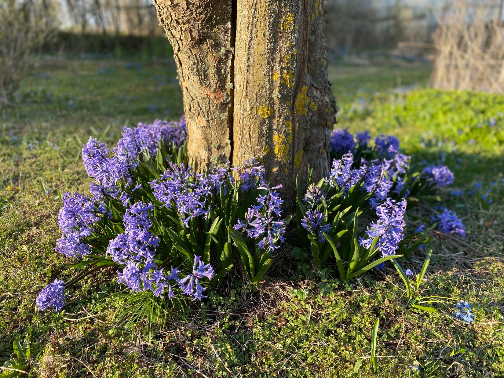 Villa, Havdhem Libbenarve 662, Havdhem, Gotland