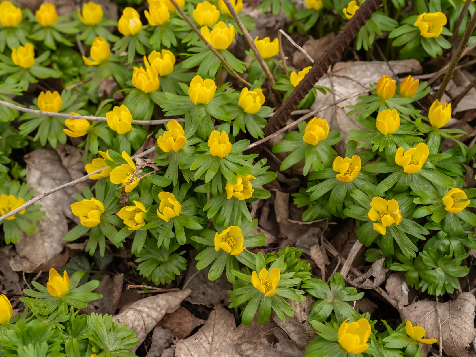 Villa, Havdhem Libbenarve 662, Havdhem, Gotland