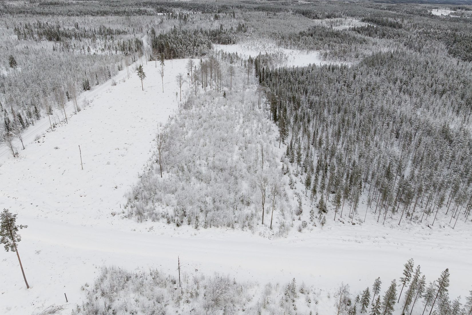 Gård/Skog, SKELLEFTEÅ KUSMARK 17:40, Kusmark, Skellefteå